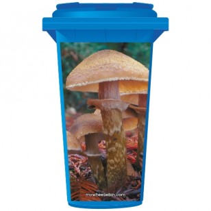 Toadstools In A Forest Wheelie Bin Sticker Panel